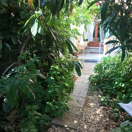 Joli Avec Jardinet *
