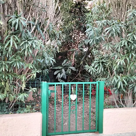 Joli Avec Jardinet * Avignon